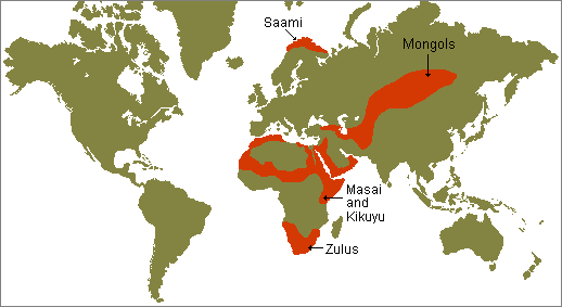 World map showing the traditional pastoralist regions today with the Saami, Mongol, Masai, Kikuyu, and Zulu traditional homelands highlighted